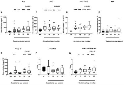 Corrigendum: Angiotensin Converting Enzyme 2 (ACE2) in Pregnancy: Preeclampsia and Small for Gestational Age